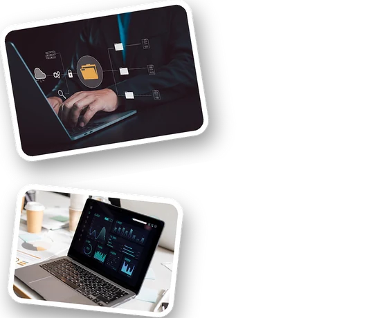 WordPress migration work samples