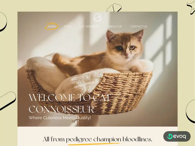 Cat Connoisseur pet breeder website UI design by Devoq Design